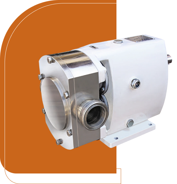 Lobe Pump